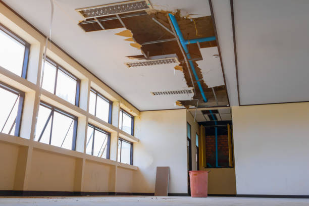 Best Water damage cleanup near me  in Yosemite Lakes, CA