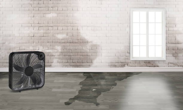 Best Water damage restoration near me  in Yosemite Lakes, CA