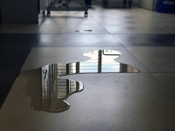 Best Local water damage restoration  in Yosemite Lakes, CA