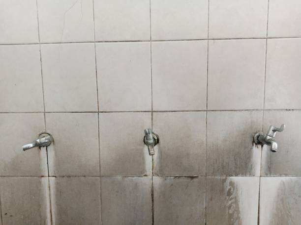 Best Sewage cleanup and water damage restoration  in Yosemite Lakes, CA