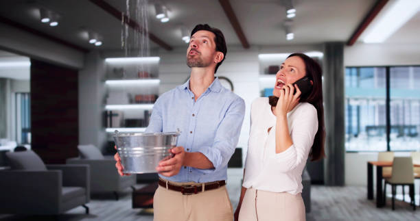 Best Water damage contractors near me  in Yosemite Lakes, CA